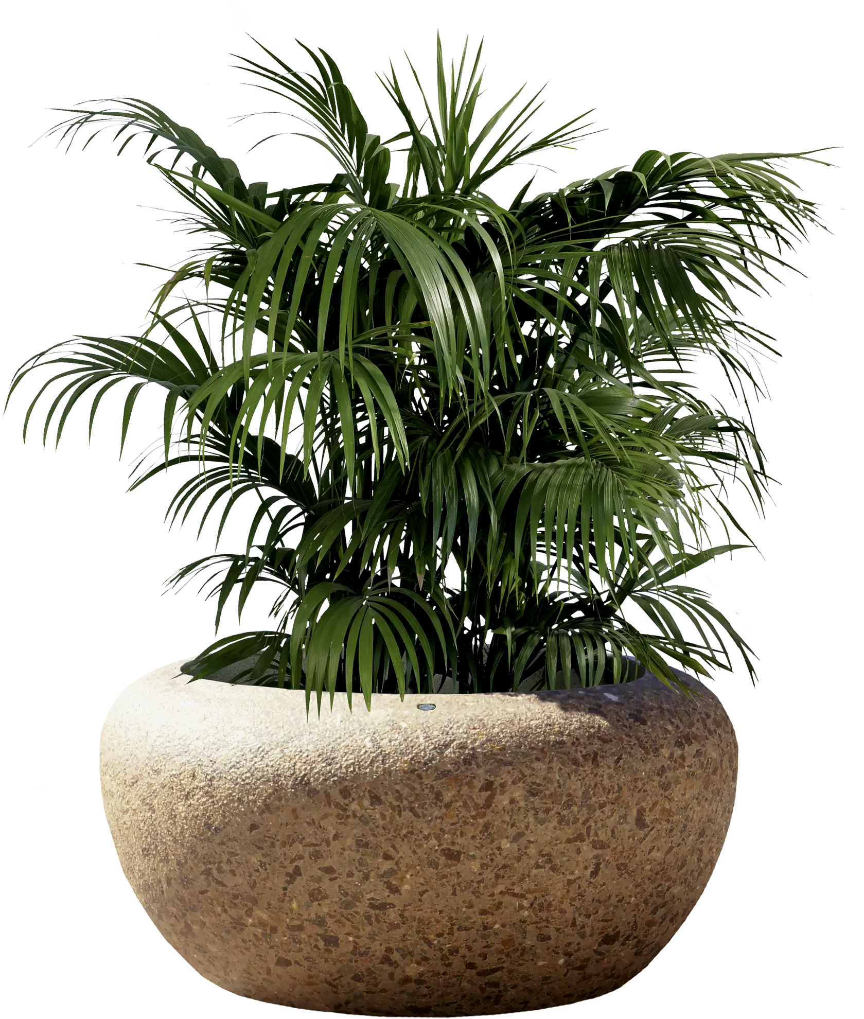 Vorschau: Pflanzbehälter GIOVE Vorschau: Pflanzbehälter GIOVE